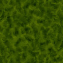 QT Fabrics, Color Dance-GJ