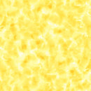 QT Fabrics, Color Dance-S