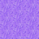 Allure Peacock, Purple