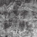 Andover Fabrics, Dimples Blender, Gray