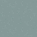 Art Gallery Fabrics, Adventale, Twinkle Little Stars, Sky