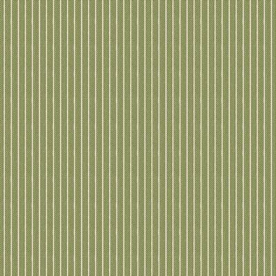 Creating Memories Woven Stripe, Green