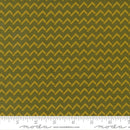 Creativity Roars by Moda, Wavy Stripes, Pickle