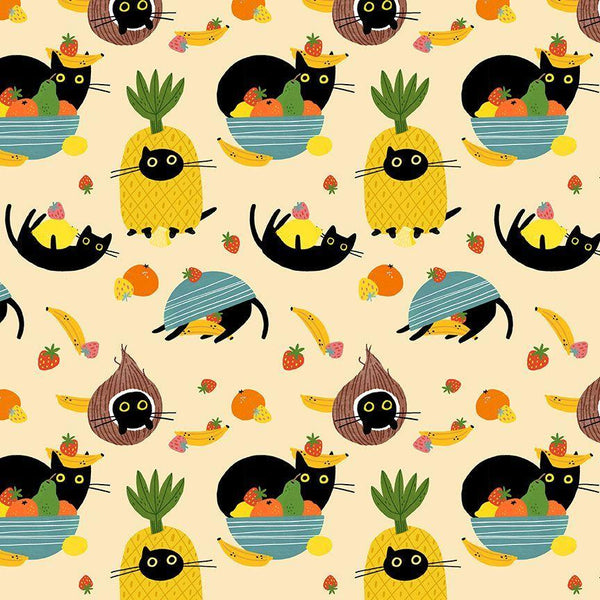 Dear Stella, Frruit Cocktail, Cats In A Fruit Bowl