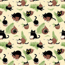 Dear Stella, Frruit Cocktail, Coco Cats, Cream