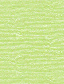 Dear Stella, Moonscape - Lime