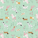 Dear Stella, Mutts About You, Baltic Green