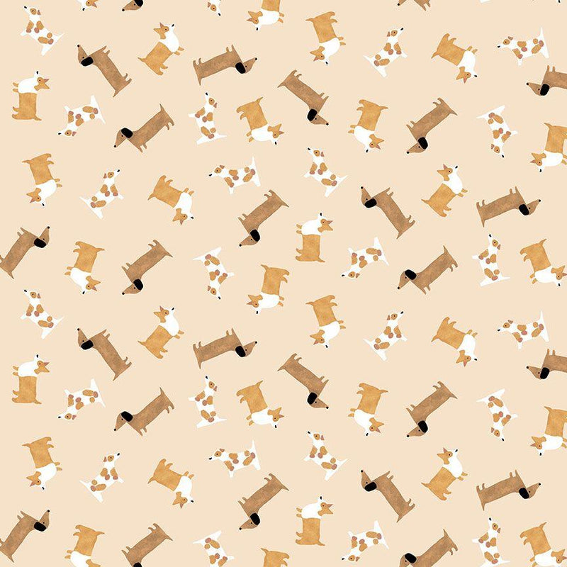 Dear Stella, Raise The Woof, Tan