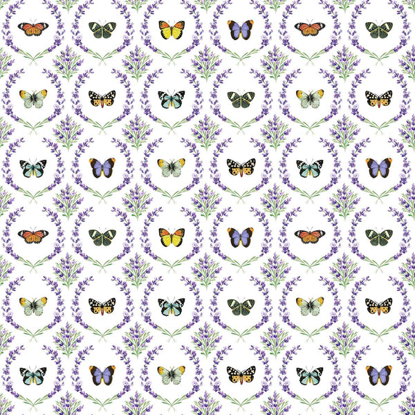 Deborahs Garden, Framed Butterflies  on White