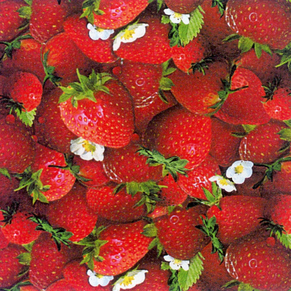 Elizabeth's Studio, Red Ripe Strawberries!