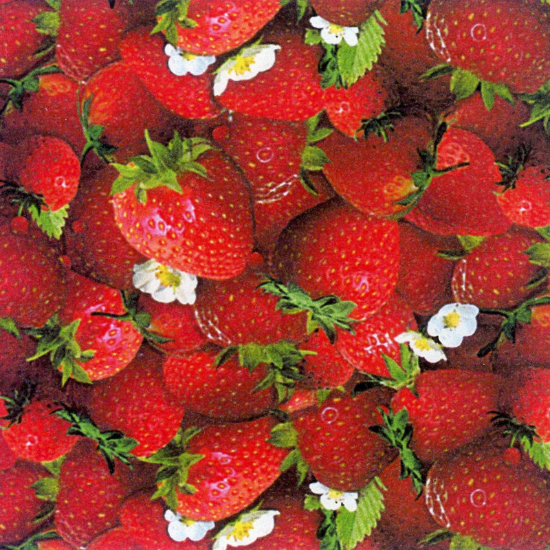 Elizabeth's Studio, Red Ripe Strawberries!