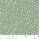 Henry Glass, Kim Diehl, Pennyberry Farm, Star Sprinkles, Aqua