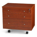 Joey Storage Cabinet - Please call us to order 813.704.4867