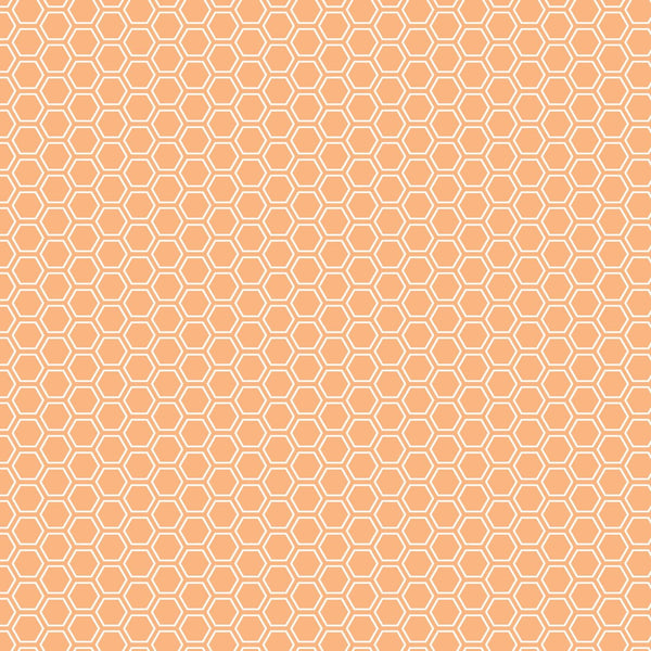 Kimberbell Basics from Maywood Studio, Honeycomb, Orange