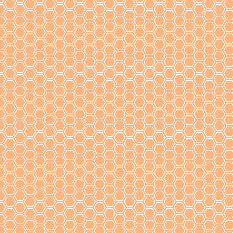Kimberbell Basics from Maywood Studio, Honeycomb, Orange