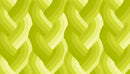 Moda, Emily Van Hoff, Echo Braid, Acid Green