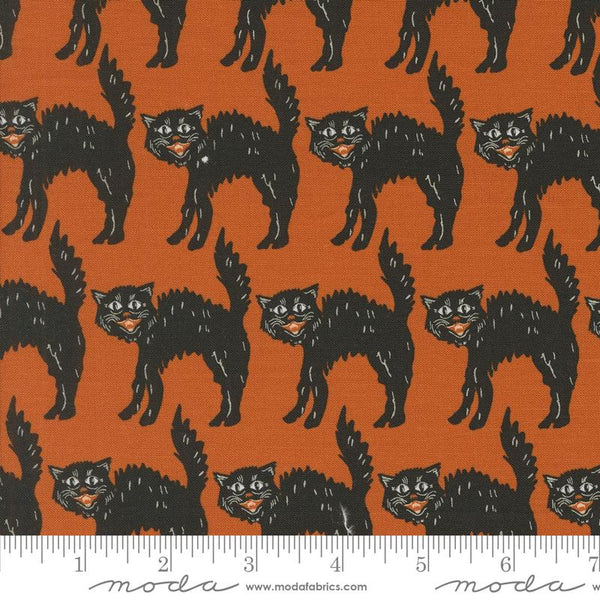 Moda, Home Sweet Haunt, Cat Stripe, Pumpkin