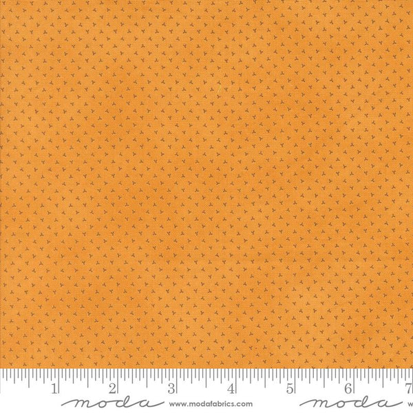 Moda, Pumpkin Spice Gathering, Ditsy Blenders, Moon Beam