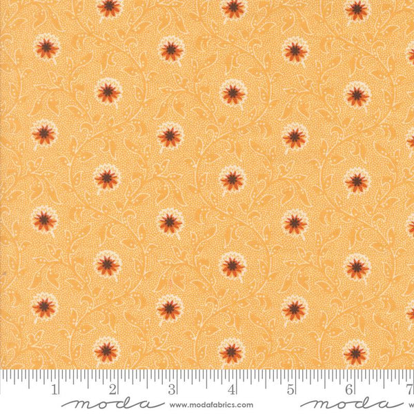 Moda, Pumpkin Spice Gathering,  Flowering Blooms,Trumpet Vine, Moonbeam