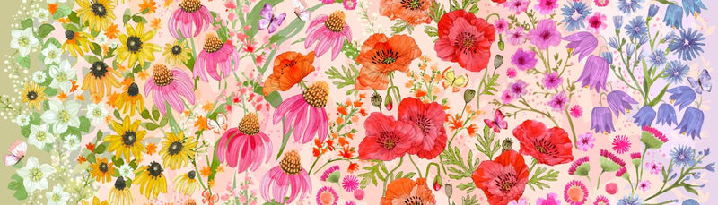 Moda, Superbloom by Robin Pickens, Pastel Ombre