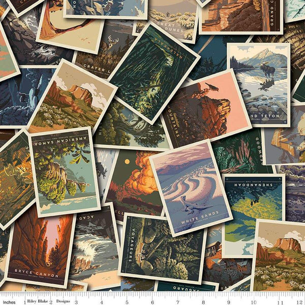 National Parks Postcards CD13290-MULT