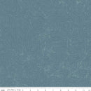 National Parks Topographic C13293-BLUE