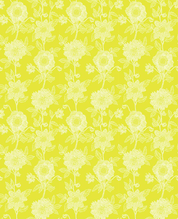 Northcott, Anna Maria Parry, Silhouette, Neon Flowers, Yellow