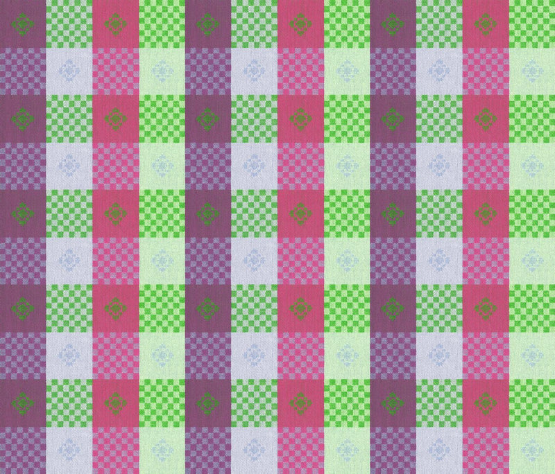 Northcott, Anna Maria Parry Wovens, Narrative, Ice