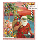 PREORDER - AFSH 2026, Santa Claus is Coming to Florida! Panel