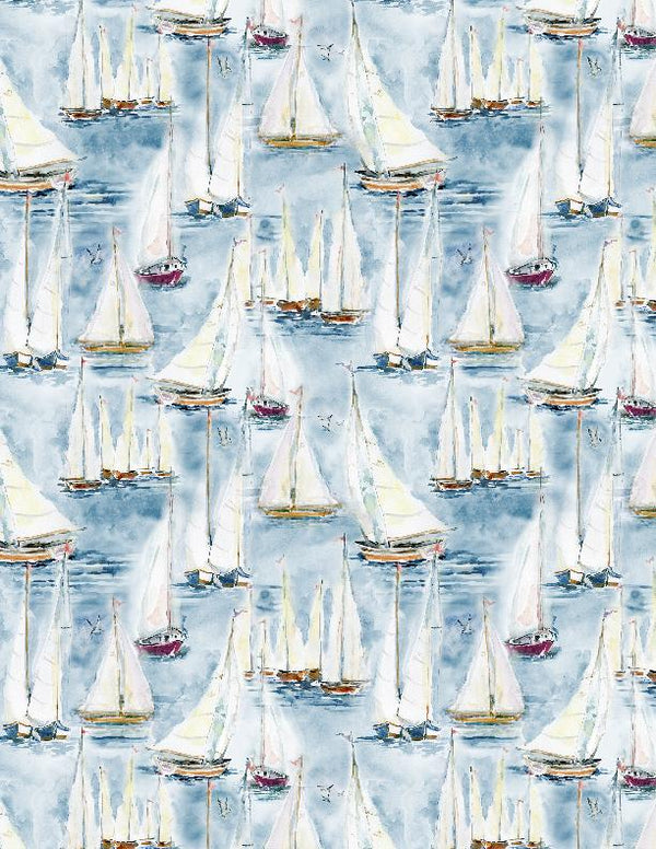 Packed Sailboats Scenic