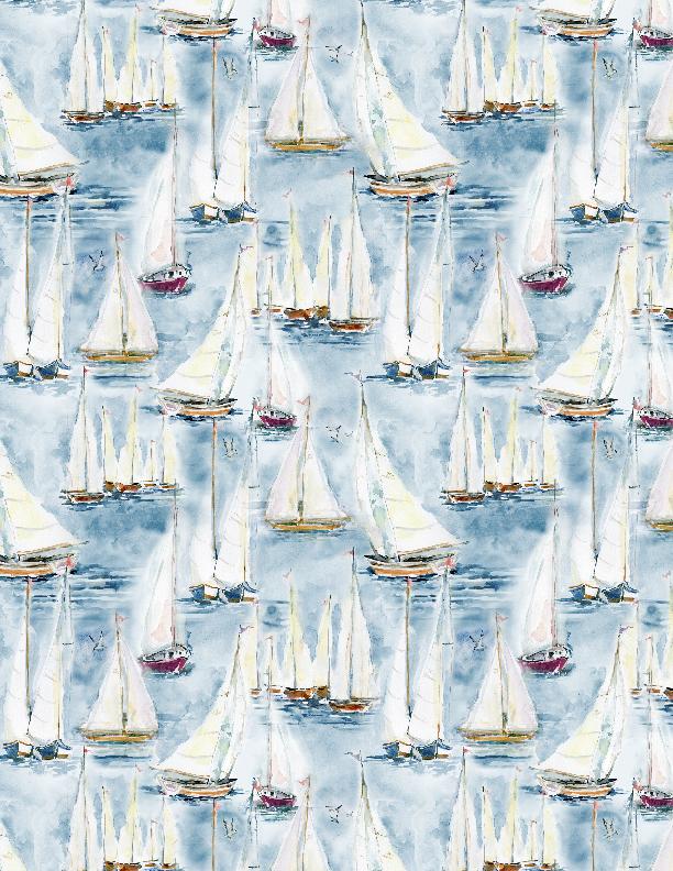 Packed Sailboats Scenic