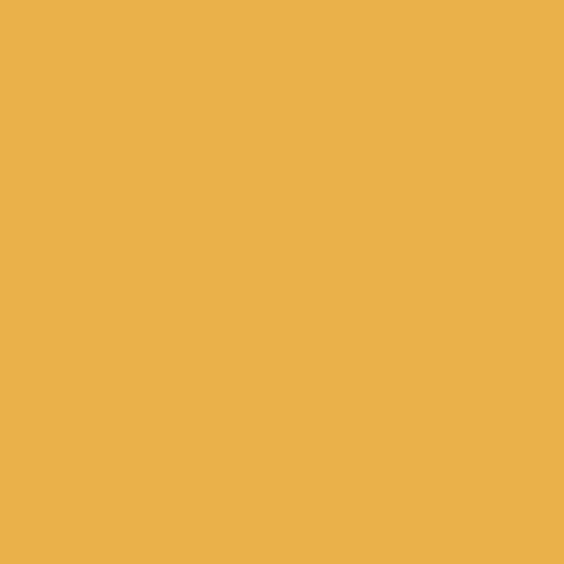 Painter's Palette Solids - Goldenrod