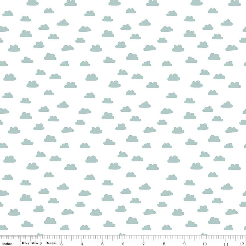 Riley Blake, Baby Boy, Cute As A Button, Clouds, White