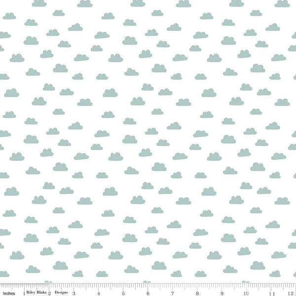 Riley Blake, Baby Boy, Cute As A Button, Clouds, White