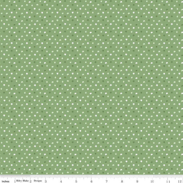 Riley Blake, Baby Boy, Cute As A Button, Gingham, Basil