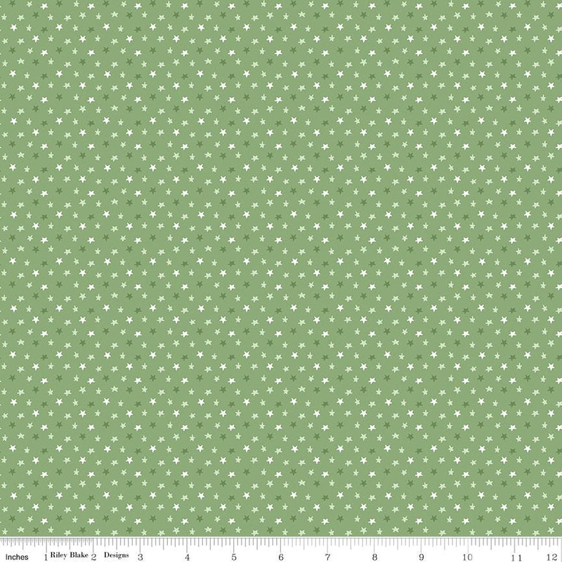 Riley Blake, Baby Boy, Cute As A Button, Gingham, Basil