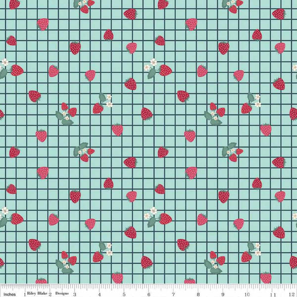 Riley Blake, Berry Market, Gingham Berries, Songbird