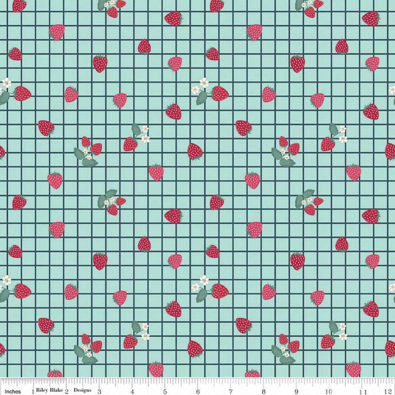 Riley Blake, Berry Market, Gingham Berries, Songbird