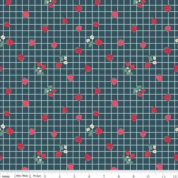 Riley Blake, Berry Market, Gingham Berries, Stargazer