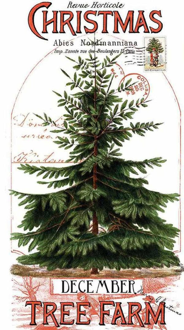 Riley Blake, Classic Christmas, 24" X 43" Botanical Main Panel
