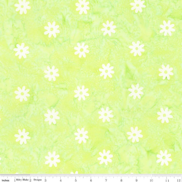 Riley Blake, Daisy Dots Batiks, Daisies, Lime Green