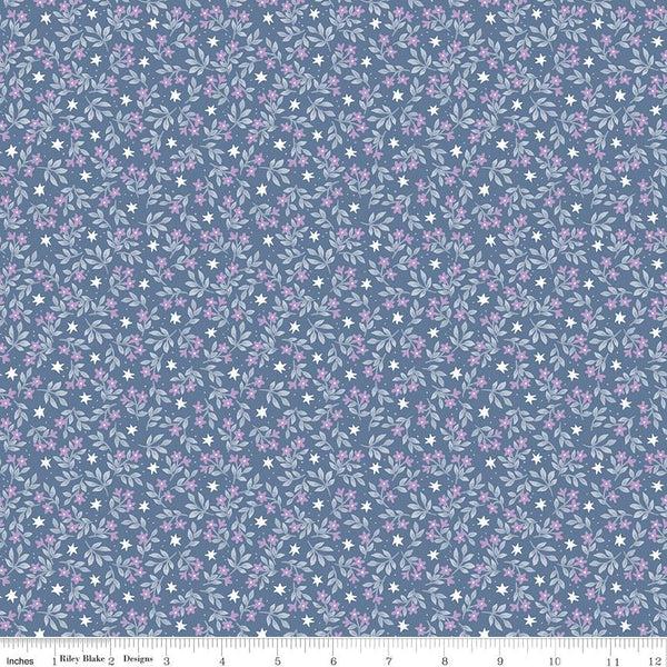 Riley Blake, Twinkle Star, Jasmine Stars, Denim