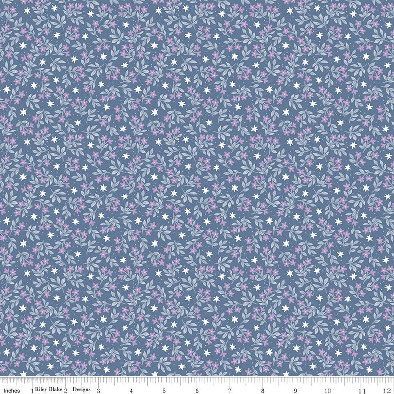 Riley Blake, Twinkle Star, Jasmine Stars, Denim