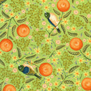 Robert Kaufman, Grove, Oranges & Birds, Sage
