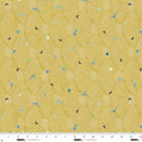 Studio E, Circular Stripe, Tonal Arches, Biscuit