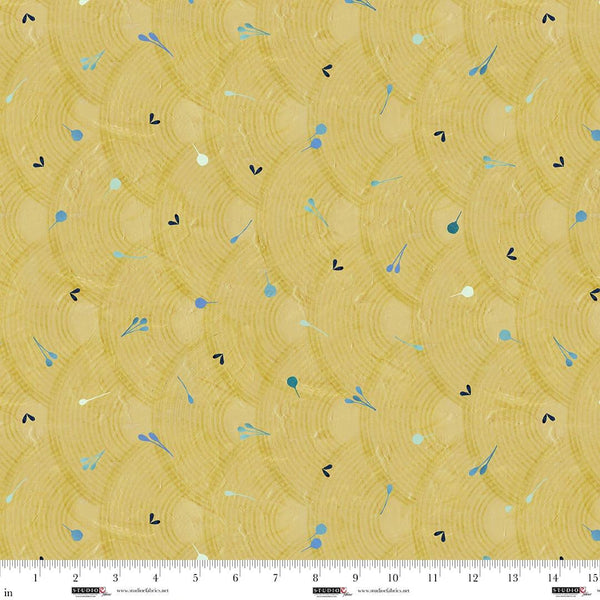 Studio E, Circular Stripe, Tonal Arches, Biscuit