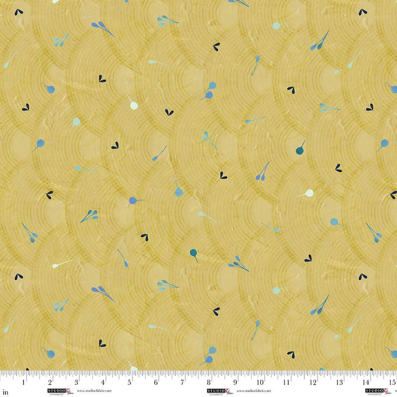 Studio E, Circular Stripe, Tonal Arches, Biscuit