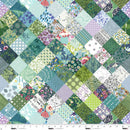 Studio E, Neighborhood Association, Cheater Patch, Teal