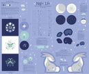 Studio e, Little Dear, Panel, Night Life, Midnight Blue