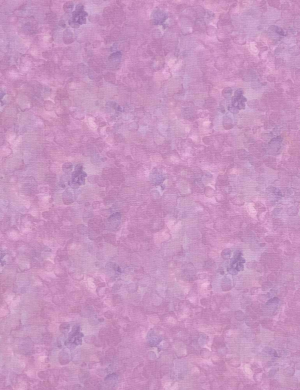 Timeless Treasures, Dragonfly Mist, Solidish, Lavender